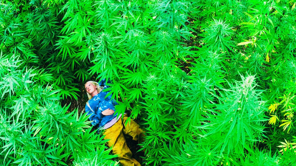 Gramicci Hemp