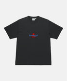 Gramicci vintage black Ladybug Tee with colorful graphic against a light-tone background.