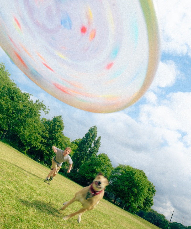 Wham-O Yin Yang Frisbee – Gramicci