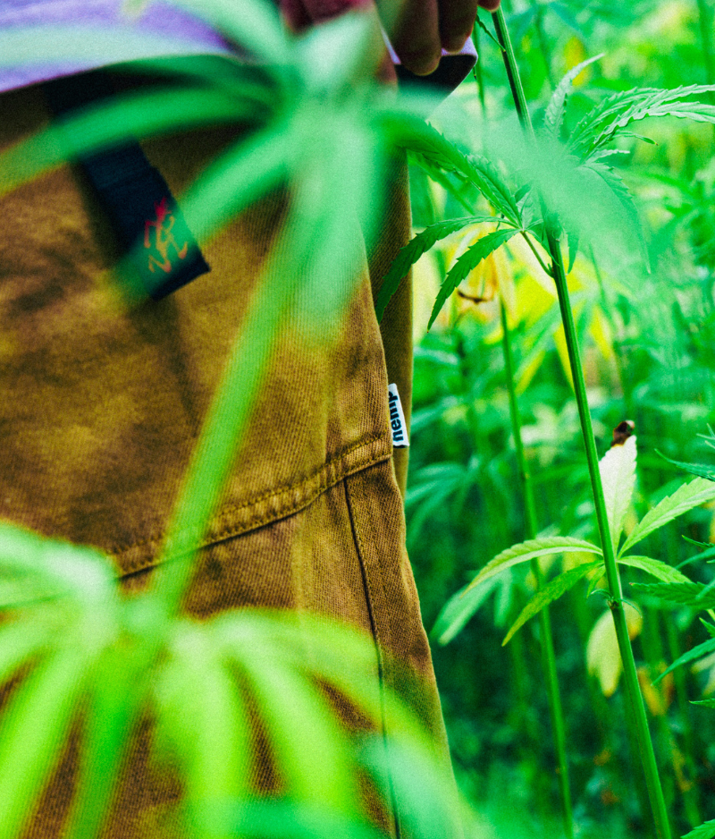 Close-up of a person wearing Gramicci  brown canvas hemp utility pants in a green outdoor setting with plants.